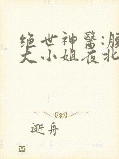 绝世神医:腹黑大小姐夜北