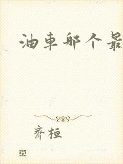 油车哪个最省油