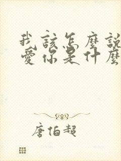 我该怎么说我不爱你是什么歌