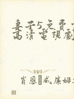 妻子5免费完整高清电视剧在线看韩剧