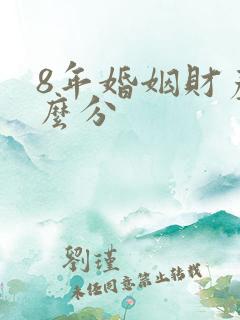 8年婚姻财产怎么分