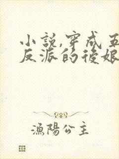 小说,穿成五个反派的后娘