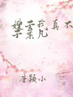 嫂子我真不是傻子叶凡