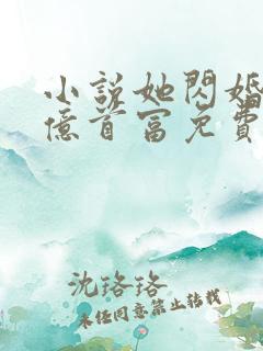 小说她闪婚了千亿首富免费阅读