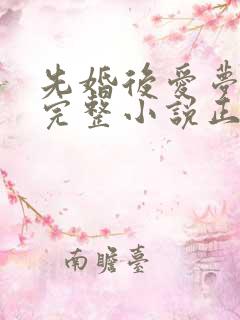 先婚后爱梦筱二完整小说正确顺序