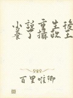 小说重生后我娇养了摄政王小说