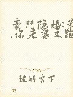 豪门隐婚:叶少,你老婆又跑了