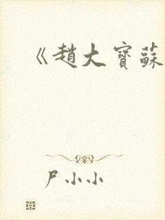 《赵大宝苏媚》
