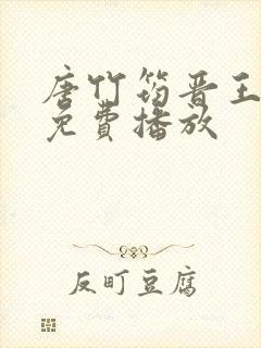 唐竹筠晋王短剧免费播放