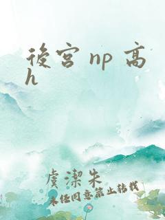 后宫 np 高h