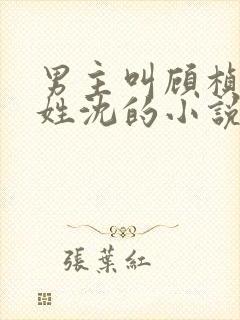 男主叫顾桢女主姓沈的小说