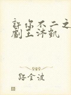 许你不二之臣短剧王沐凯