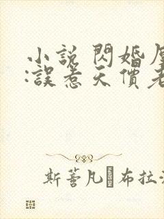 小说 闪婚厚爱:误惹天价老公