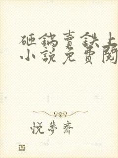 砸锅卖铁上学去小说免费阅读全文