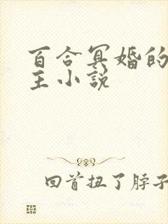 百合冥婚的双女主小说