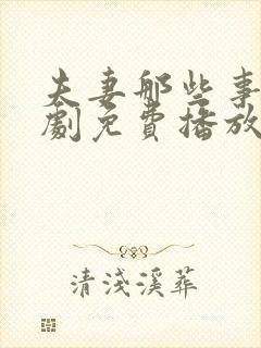 夫妻那些事电视剧免费播放