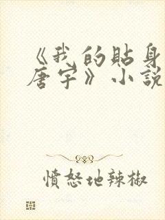 《我的贴身校花唐宇》小说