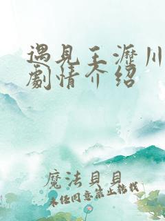 遇见王沥川分集剧情介绍