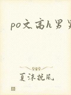 po文高h男男