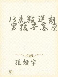 13岁叛逆期的男孩子怎么去引导