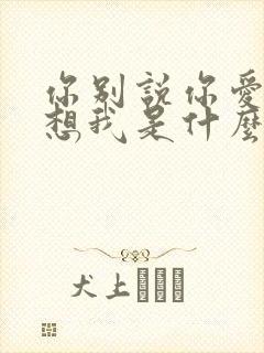 你别说你爱我你想我是什么歌