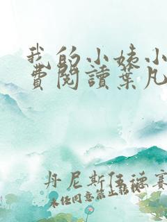 我的小姨小说免费阅读叶凡