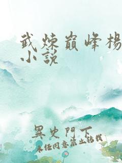 武炼巅峰杨开 小说