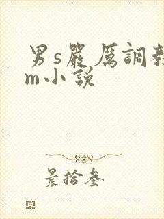 男s严厉调教女m小说