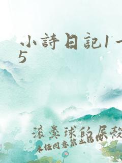 小诗日记1一15