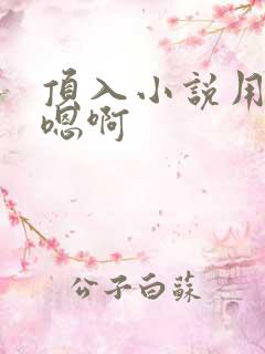 顶入小说用力啊嗯啊