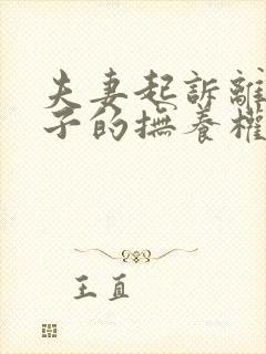 夫妻起诉离婚孩子的抚养权怎么争取