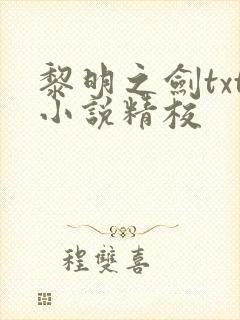 黎明之剑txt小说精校