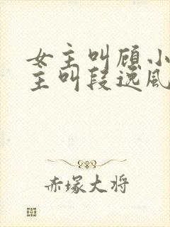 女主叫顾小曼男主叫段逸风的小说