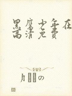 黑鹰少年在线版高清免费