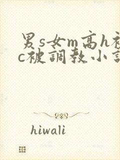 男s女m高h被c被调教小说