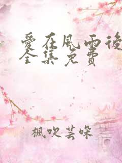 爱在风雨后短剧全集免费