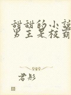 甜甜的小说校园男主是校霸