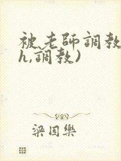 被老师调教(高h,调教)