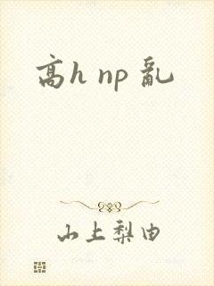 高h np 乱