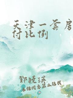 天津一套房子首付比例