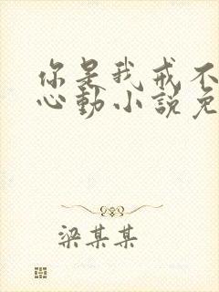 你是我戒不掉的心动小说免费阅读