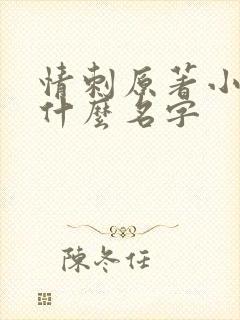 情刺原著小说叫什么名字