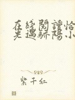 在线阅读恰似寒光遇骄阳小说