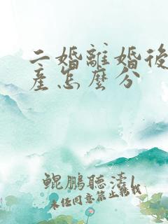 二婚离婚后的财产怎么分