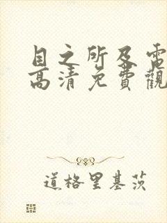 目之所及电视剧高清免费观看