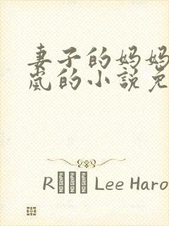 妻子的妈妈叫晴岚的小说免费阅读