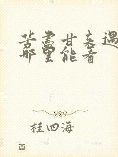 苦尽甘来遇见你哪里能看