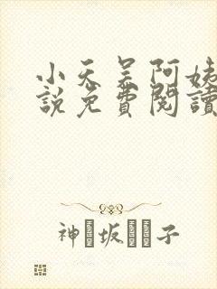 小天吴阿姨的小说免费阅读无弹窗