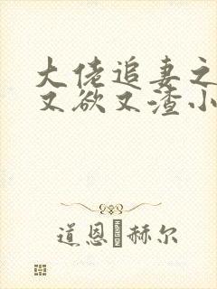 大佬追妻之夫人又欲又渣小说