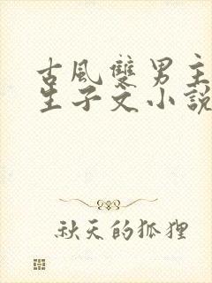 古风双男主超虐生子文小说